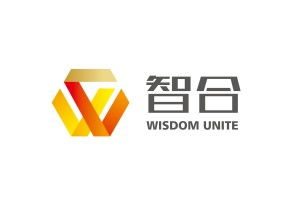 安徽智合商务咨询 助力企业决策的商务信息咨询服务